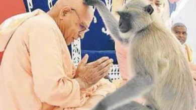 IMG 20150808 WA0026 राम कथा में शामिल हुआ वानर, कथा वाचक को दिया आशीर्वाद