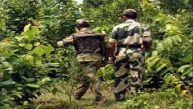 मुठभेड़ में दो जवान घायल, एक महिला नक्सली को मार गिराया 9 chattisgarh मुठभेड़ में दो जवान घायल, एक महिला नक्सली को मार गिराया