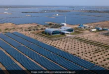 अडाणी समूह का हरित ऊर्जा परिवर्तन में अगले 10 वर्षों में 100 अरब डॉलर का निवेश होगा 6 adani-green-energy-limited