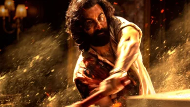 animal movie box office collection रणबीर कपूर की 'एनिमल' ने वैश्विक बॉक्स ऑफिस पर 660 करोड़ रुपये की कमाई की