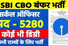 sbi cbo recruitment एसबीआई सर्कल ऑफिसर भर्ती 2023