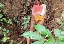 Seoni A tiger hunted a teenager in Seoni, villagers blocked the highway, death in the forest Painful death in tiger attack, panic in the village