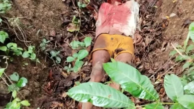 सिवनी में बाघ ने किशोर को बनाया शिकार, ग्रामीणों ने किया हाईवे जाम 13 Seoni A tiger hunted a teenager in Seoni, villagers blocked the highway, death in the forest Painful death in tiger attack, panic in the village