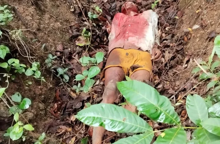 Seoni A tiger hunted a teenager in Seoni, villagers blocked the highway, death in the forest Painful death in tiger attack, panic in the village